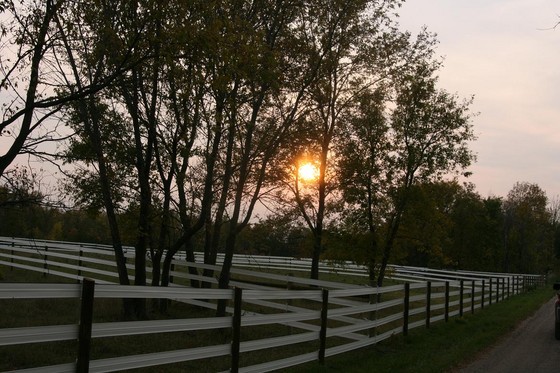 TIMCO Horse and Farm Supply 560-grace-farms-4.jpg