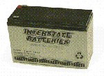 Speedrite Replacement Battery