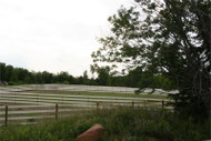 Centaur Fence