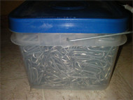 Wide 2" Double Barbed Staples for Wire Fences Installers Quantity Box 40lb