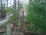Deluxe Wood Post Insulators for Finish Line Fence