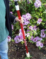 Red Weeder TD Model