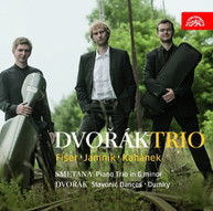 DVORAK TRIO - PIANO TRIO IN G MINOR SLAVONIC DANCES CD