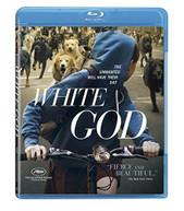 WHITE GOD (WS) BLU-RAY