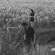 JESU SUN KIL MOON CD