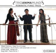 HURLSTONE TRIO ANIMA MUNDI - ROMANTIC PIANO TRIOS CD