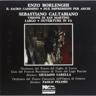 BORLENGHI GIULIANO CARELLA - IL SACRO CAMMINO DUE IMPRESSIONI PER CD