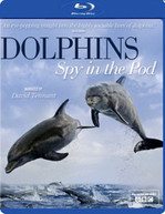 DOLPHINS SPY IN THE POD (UK) BLU-RAY