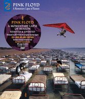 PINK FLOYD - MOMENTARY LAPSE OF REASON CD