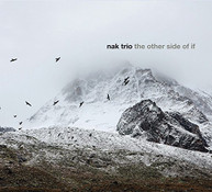 NAK TRIO - OTHER SIDE OF IF CD