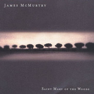 JAMES MCMURTRY - SAINT MARY OF THE WOODS CD