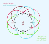 STEVE COLEMAN 5 ELEMENTS - HARVESTING SEMBLANCES & AFFINITIES CD