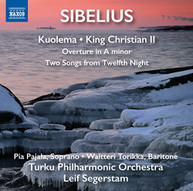 SIBELIUS PAJALA TURKU PHILHARMONIC ORCHESTRA - ORCHESTRAL WORKS - CD