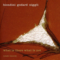 BIONDINI GODARD - WHAT THERE WHAT NOT CD