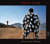 PINK FLOYD - DELICATE SOUND OF THUNDER (LIVE) (DIGIPAK) CD