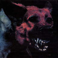 PROTOMARTYR - UNDER COLOR OF OFFICIAL RIGHT CD