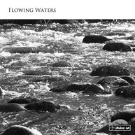 WHITLOCK HONEYBOURNE STOKES MELDRUM - FLOWING WATERS CD