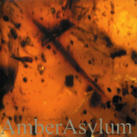 AMBER ASYLUM - FROZEN IN AMBER - CD