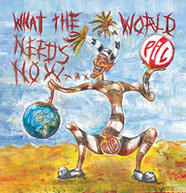 PUBLIC IMAGE LTD - WHAT THE WORLD NEEDS NOW CD