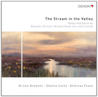 BRITTEN HEAD IRELAND BROWNER CARTY FRESE - STREAM OF THE CD