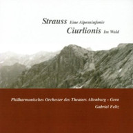 CIURLIONIS STRAUSS FELTZ - AN ALPINE SYMPHONY MISKE CD