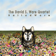 DAVID S WARE - BALLADWARE CD