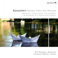 BEETHOVEN WEBER KALLIWODA MOZART DOPPLER - VOYAGE DOWN THE CD