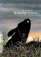 CRITERION COLLECTION: WATERSHIP DOWN (WS) DVD
