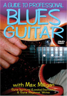 GUIDE TO PROFESSIONAL BLUES GUITAR DVD