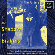 BRAHMS ZEMLINSKY JUON TRIO PAIDEIA - IM SCHATTEN VON BRAHMS 1 CD