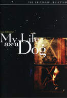 CRITERION COLLECTION: MY LIFE AS A DOG (1985) DVD