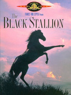 BLACK STALLION DVD