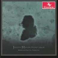 HAYDN MENDELSSOHN PIANO TRIO - HAYDN PIANO TRIOS 4 CD