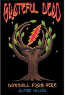 GRATEFUL DEAD - DOWNHILL FROM HERE DVD