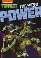 TEENAGE MUTANT NINJA TURTLES: PULVERIZER POWER DVD