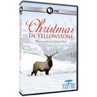 NATURE: CHRISTMAS IN YELLOWSTONE DVD