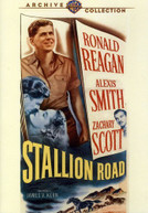 STALLION ROAD DVD