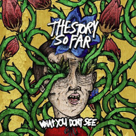 STORY SO FAR - WHAT YOU DON'T SEE VINYL