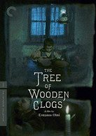 CRITERION COLLECTION: TREE OF WOODEN CLOGS (2PC) DVD