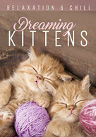 RELAX: DREAMING KITTENS DVD