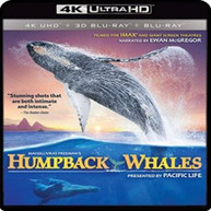 IMAX: HUMPBACK WHALES - IMAX: HUMPBACK WHALES (4K) (WS) 4K BLURAY