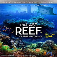 IMAX: THE LAST REEF: CITIES BENEATH THE SEA - IMAX: THE LAST REEF: 4K BLURAY