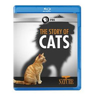 NATURE: THE STORY OF CATS BLURAY