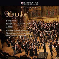 BEETHOVEN /  VIENNA CHAMBER ORCHESTRA - ODE TO JOY / BEETHOVEN SYMPHONY CD