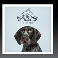 LOST MY DOG 10X10: 2010 /  VAR - LOST MY DOG 10X10: 2010 / VAR (MOD) CD