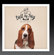 LOST MY DOG 10X10: 2011 /  VAR - LOST MY DOG 10X10: 2011 / VAR (MOD) CD
