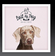 LOST MY DOG 10X10: 2013 /  VAR - LOST MY DOG 10X10: 2013 / VAR (MOD) CD