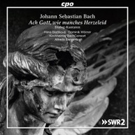 BACH.J.S. /  WORNER /GIEBELHAUSEN / BERNARDINI - ACH GOTT WIE MANCHES CD