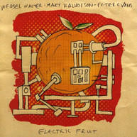 MARY HALVORSON / PETER / WALTER EVANS - ELECTRIC FRUIT CD