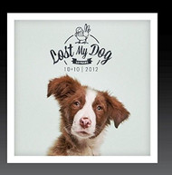 LOST MY DOG 10X10: 2012 /  VAR - LOST MY DOG 10X10: 2012 / VAR (MOD) CD